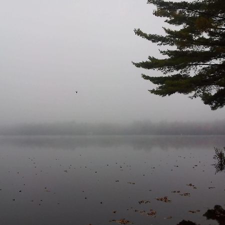 Black Lake Cabins Torrance Zewnętrze zdjęcie