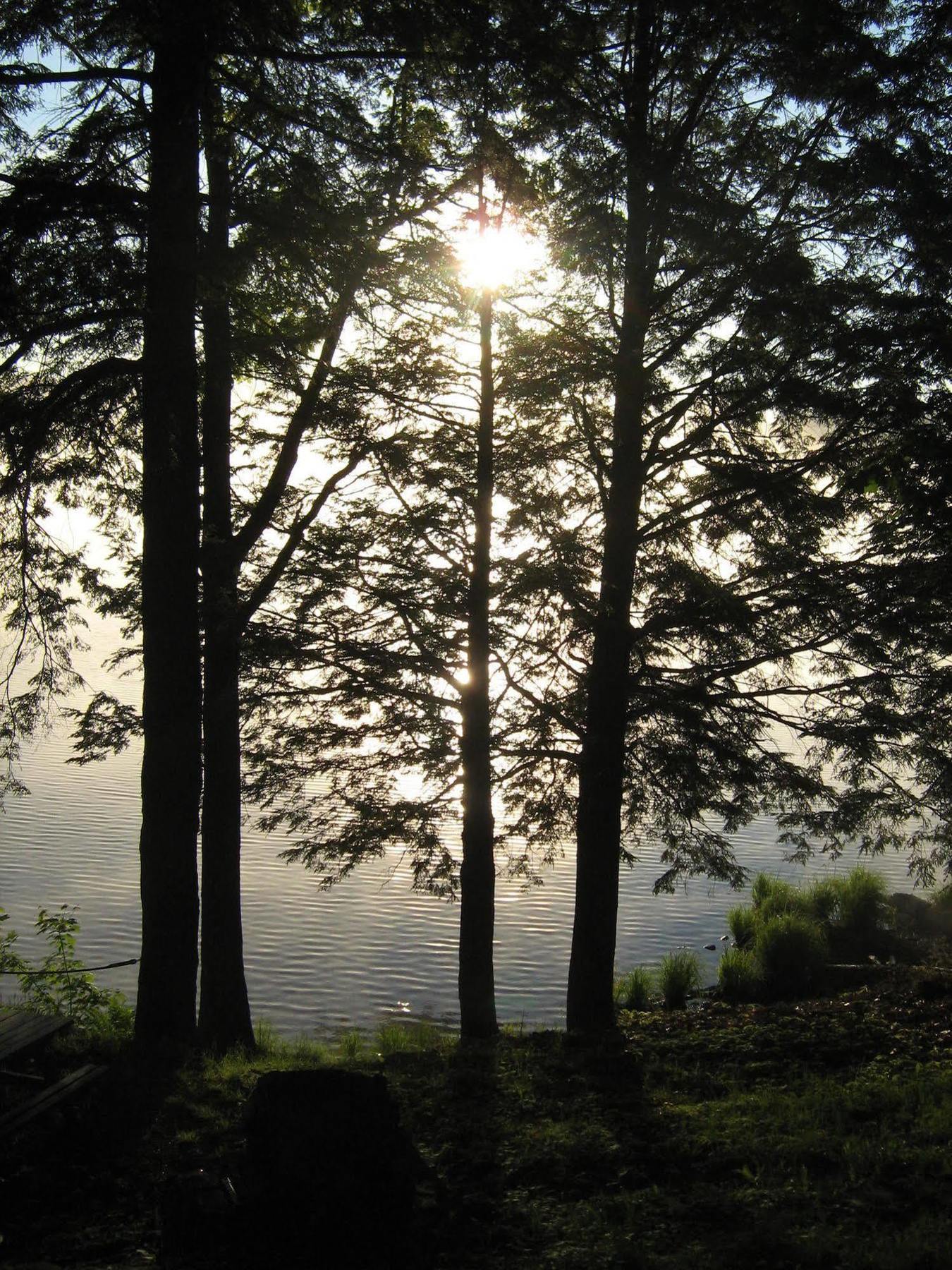 Black Lake Cabins Torrance Zewnętrze zdjęcie